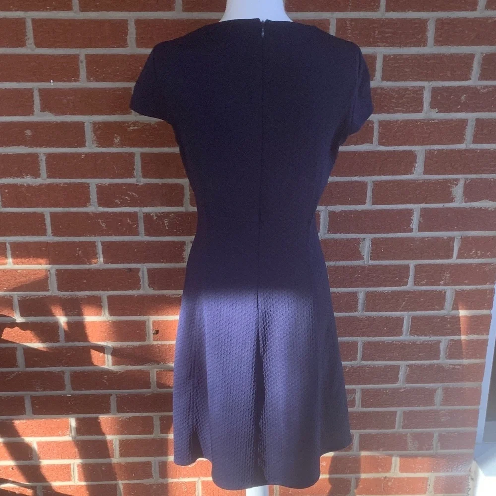 American Living navy dress